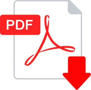 pdf icon